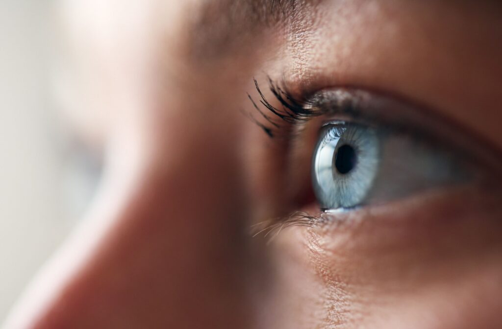 A close up of a dominant eye.